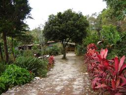 land for construction project in hacienda vieja view 008