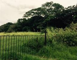 site for new development in santa ana view 003