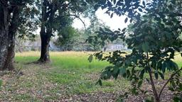 santa ana route 27 frontage 17 2 acre parcel buy one or all three parcel view 021