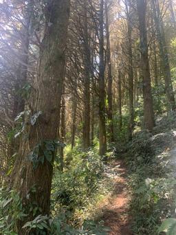 lots in the mountains of cartago for sale view 005