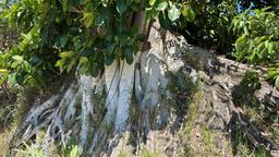 repurpose a coffee farm into a turn key mixed use development complex view 010