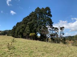 land for industrial development near cartago city view 001