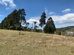 land for industrial development near cartago city view 005