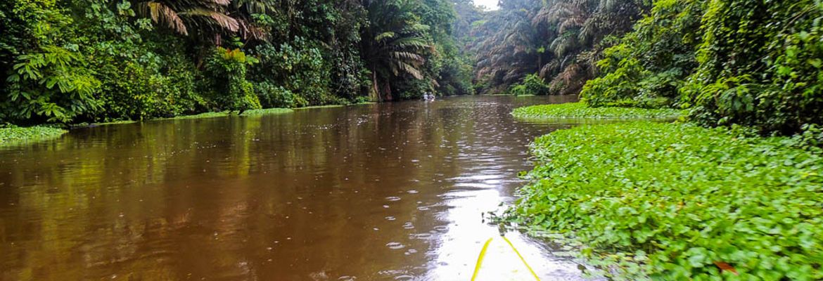 tortuguero national park attraction canoe canal 1