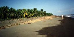 luxurious beachfront casino and resort community in the caribbean coast view 001