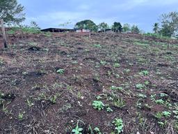 land for development 20 minutes from la fortuna view 003