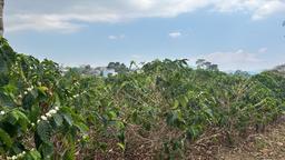 cul de sac residential development lot view 001