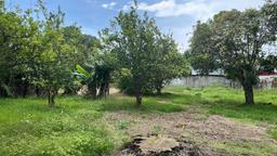 lot for development in the town of moravia view 015