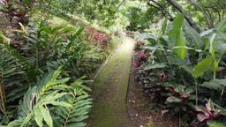 land with structures for wildlife rescue center in santa ana view 014