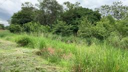 prairie land for creative development view 002