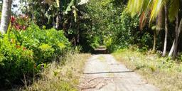 luxurious beachfront casino and resort community in the caribbean coast view 005