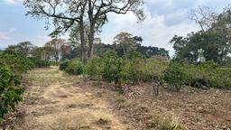 cul de sac residential development lot view 023