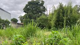 urban development site in sabana view 001