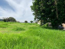 mixed used project ready parcel in mercedes view 008