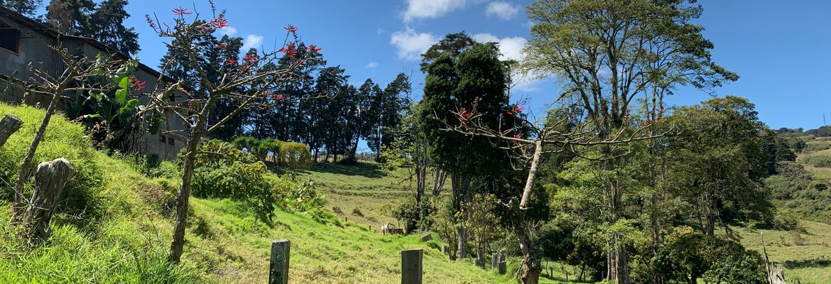 land for industrial development near cartago city view 006