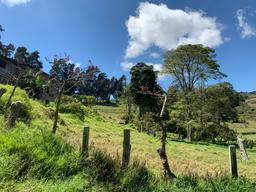 land for industrial development near cartago city view 006