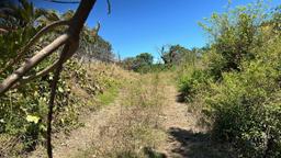 repurpose a coffee farm into a turn key mixed use development complex view 002