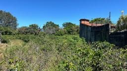 repurpose a coffee farm into a turn key mixed use development complex view 001