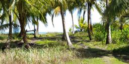 luxurious beachfront casino and resort community in the caribbean coast view 007