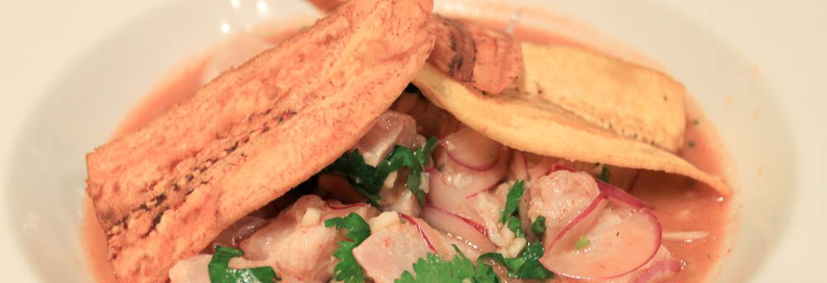 inka verde chipotle ceviche 1