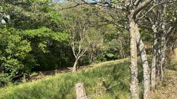 santa ana route 27 frontage 8 8 acre parcel buy one or all three parcel view 020