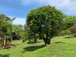 adjacent lots available in up in the hills of heredia buy one or all view 007