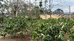 cul de sac residential development lot view 014