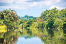 sierpe canal reflexions going to chocuaco waterfalls