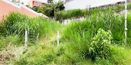 land for affordable housing complex development in goicoechea view 004