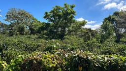 convert coffee farm into a mixed use development complex view 003