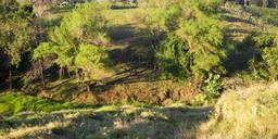 parcel for urban development in the eastern side of san jose view 004
