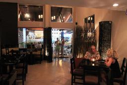 mono verde interior 6