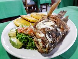 whole fish front view perla del sur restaurant