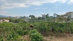 cul de sac residential development lot view 012