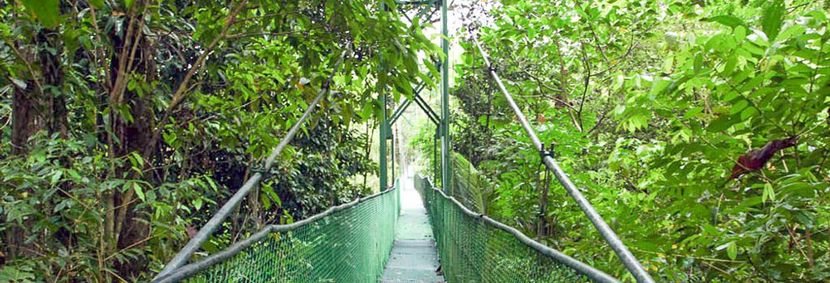 tirimbina suspennsion bridge