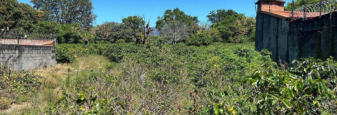 repurpose a coffee farm into a turn key mixed use development complex view 008