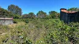 repurpose a coffee farm into a turn key mixed use development complex view 008