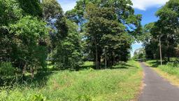 land for residential development in lomas de ayarco view 005