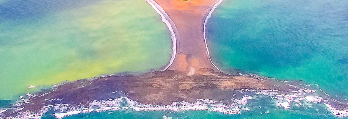 ballena national park whales tail
