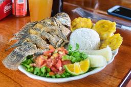whole tilapia with patacones boild cassava rice and salad lunch waterfall tour manuel antonio