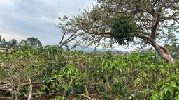 cul de sac residential development lot view 008