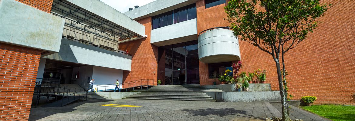 office buidling complex for lease or sale in los yoses view 006