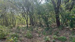 santa ana route 27 frontage 8 8 acre parcel buy one or all three parcel view 016