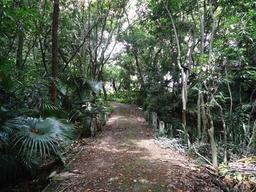 prime development land for sale in escazu view 003