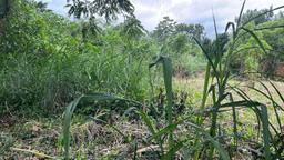 planned construction plot for sale in escazu view 002