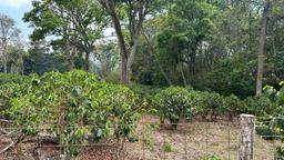 cul de sac residential development lot view 016