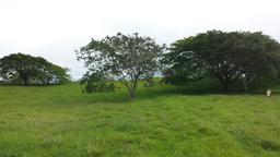 residential development site in alajuela view 005