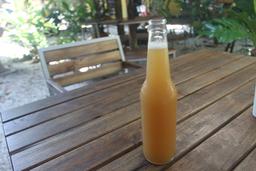 ginger kombucha luvburger 3