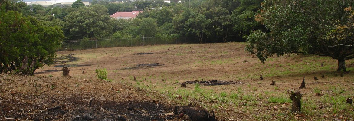 land for commercial or industrial development in alajuela view 004