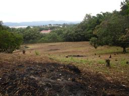 land for commercial or industrial development in alajuela view 004